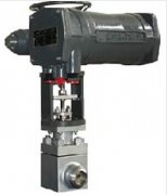 �h�����_�{���y